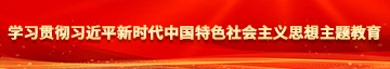 女生让我操的视频学习贯彻习近平新时代中国特色社会主义思想主题教育